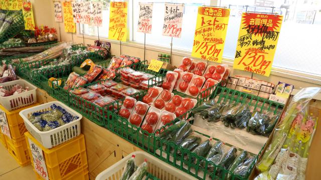 カズン　(有)金子水産