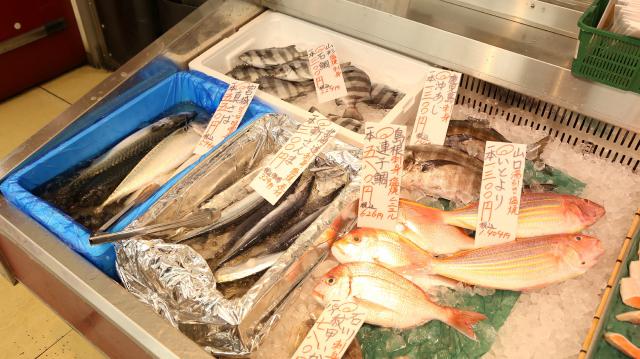 カズン　(有)金子水産